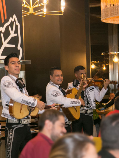 mariachis para cumpleaños 1 mariachi en bello